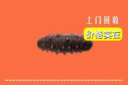 诚信求购:上海南汇区高价回收海参