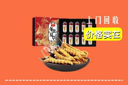 上海南汇区回收虫草